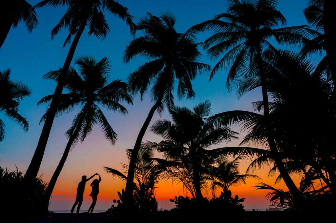 silhouette photography of man and woman beside trees during sunset